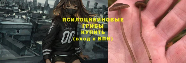 эйфоретик Аркадак