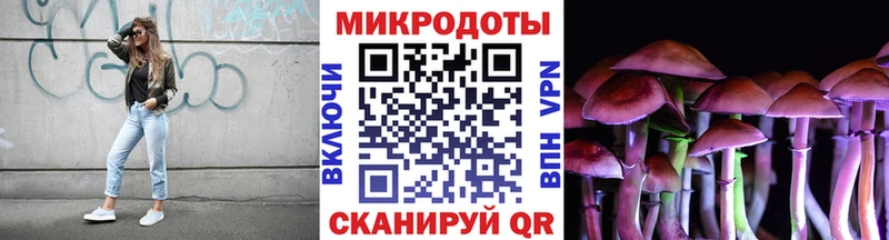 Псилоцибиновые грибы Psilocybine cubensis  Купить  Ишим 